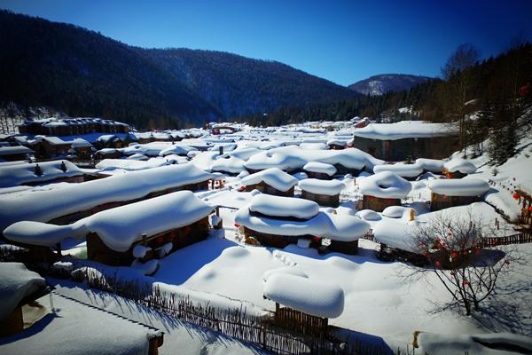 行業(yè)動(dòng)態(tài)